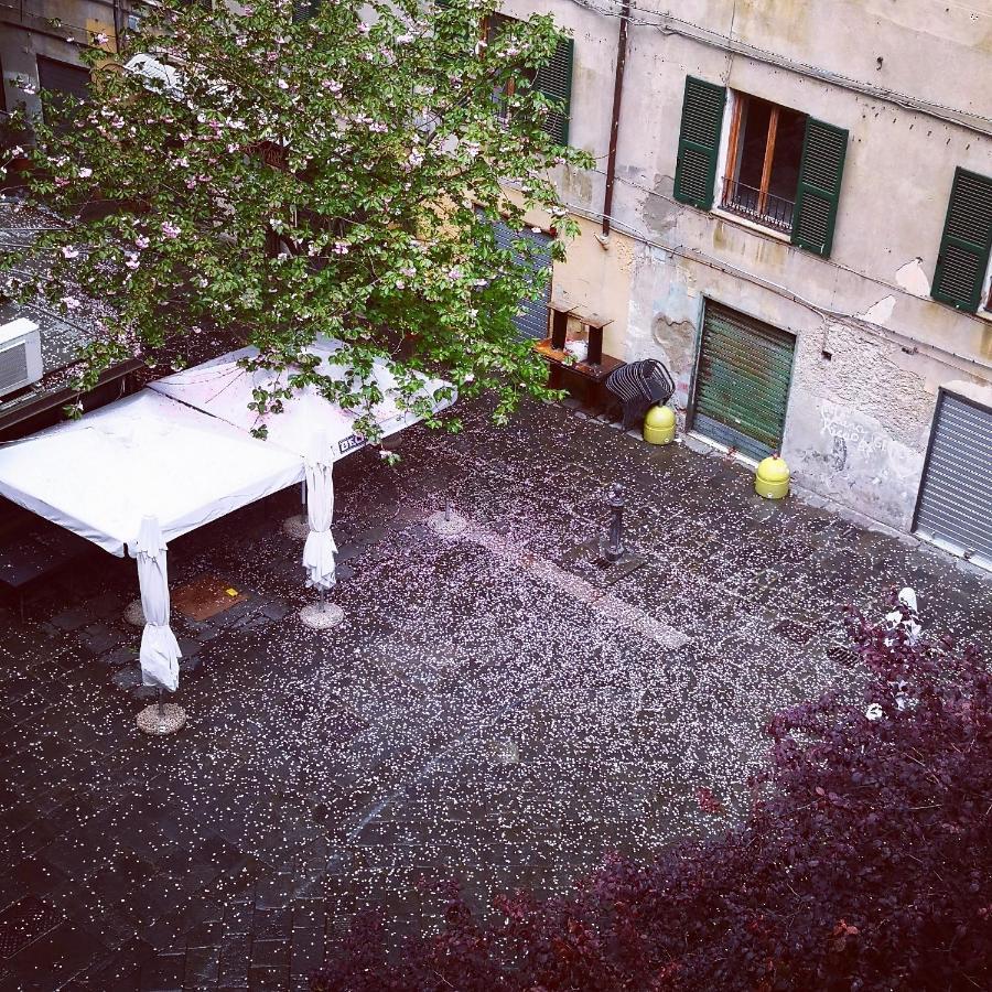 Bed and Breakfast Lavagna Uno Genua Exterior foto